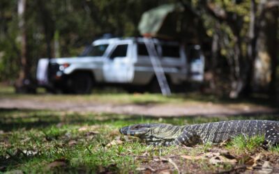 Fraser Island: Exploring the World’s Largest Sand Island