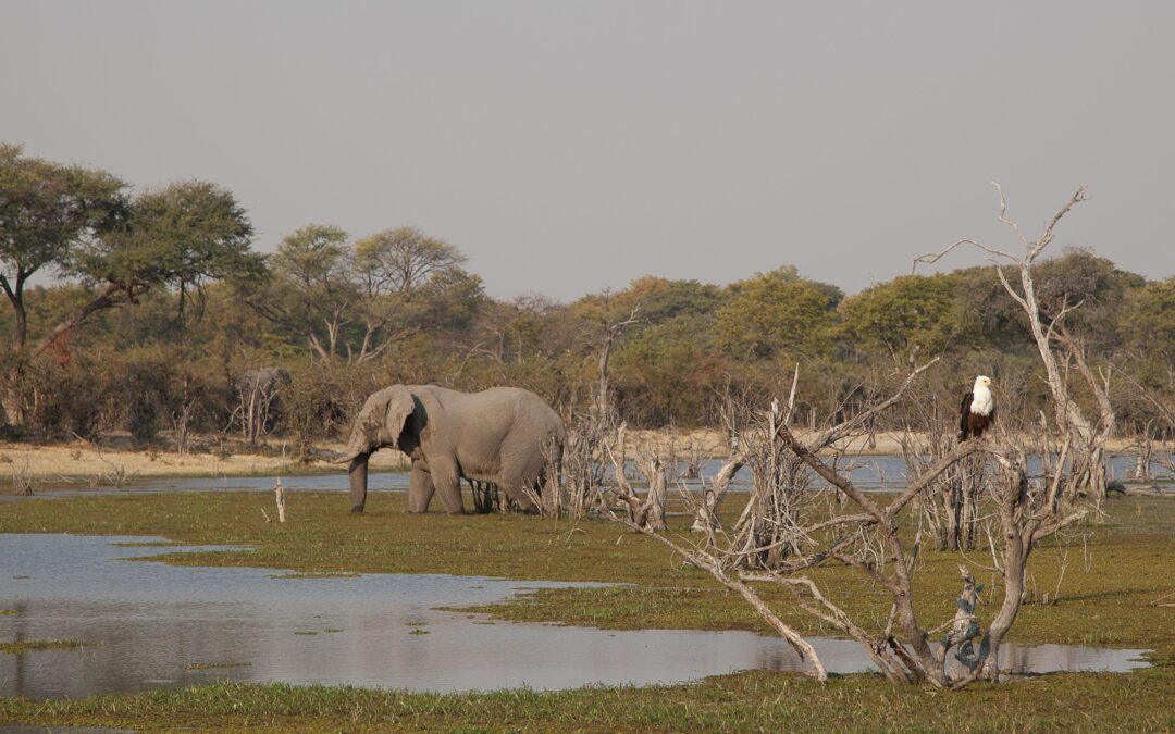 Mogothlo, Botswana