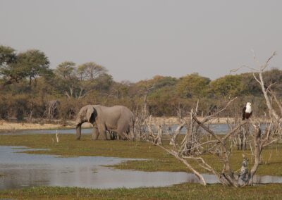 Mogothlo, Botswana