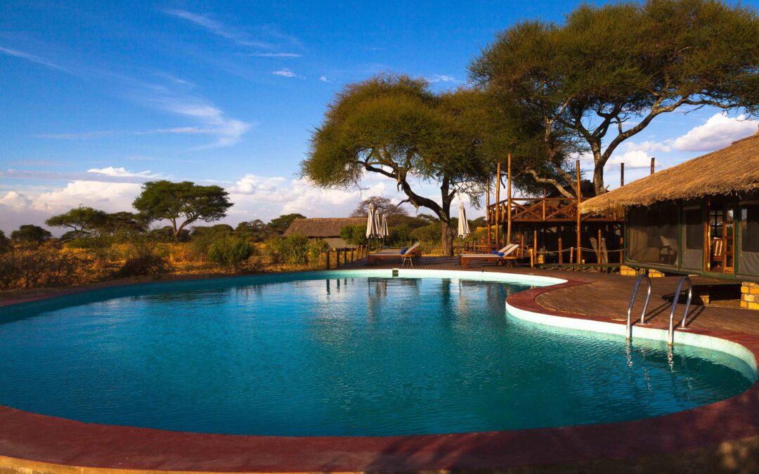 Tarangire Simba Lodge, Tanzania